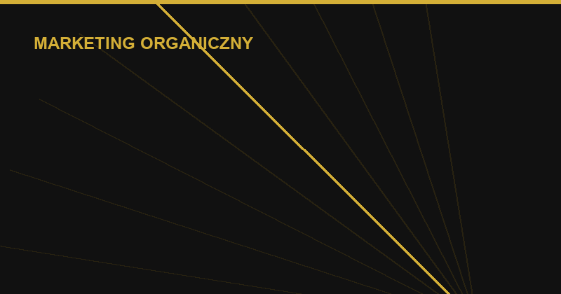 Zasięgi organiczne: jak budować bez budżetu na reklamy